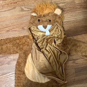 Lion Costume 🦁